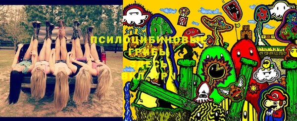 apvp Киреевск