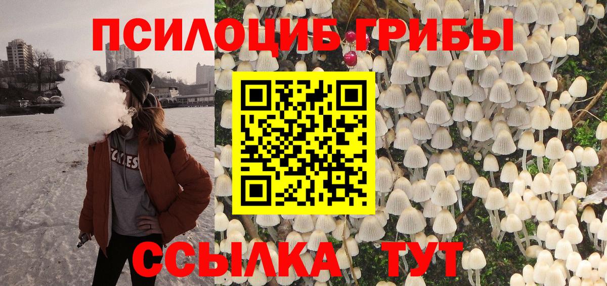 Псилоцибиновые грибы Psilocybe  купить наркоту  Кудымкар  Вход с VPN 