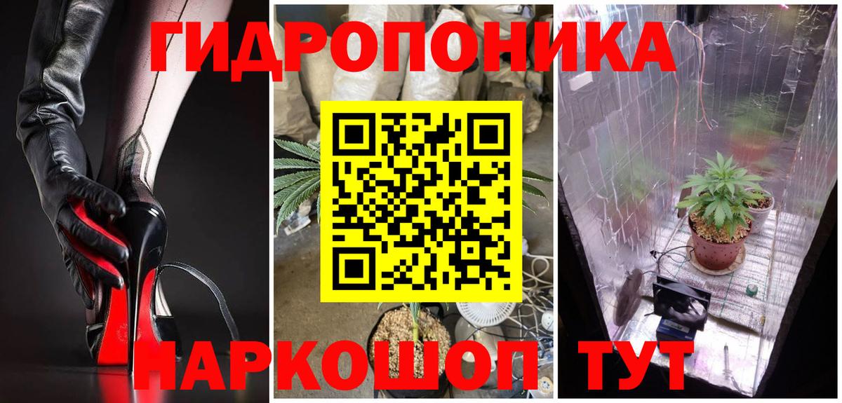 Марихуана сатива Кудымкар